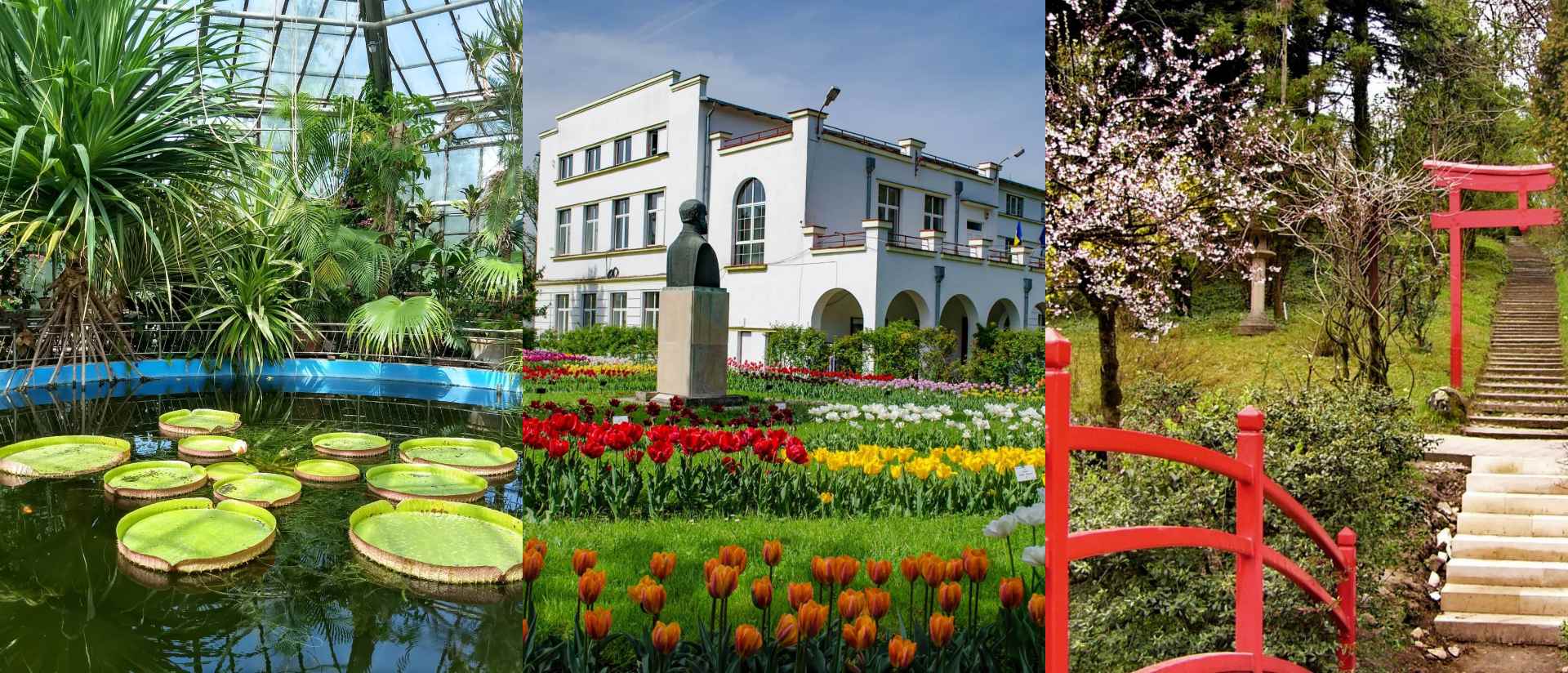 Ceļojums uz Transilvāniju ar FlyMeAway