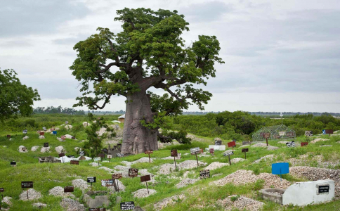 Tiešais reiss uz Dakāru, Senegālu ar FlyMeAway